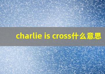 charlie is cross什么意思